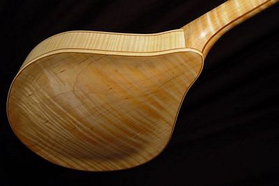 rear view of the body of michael mccarten's AF style mandolin model